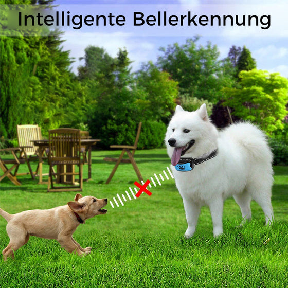 Intelligente Erkennung Anti-Bell-Halsband