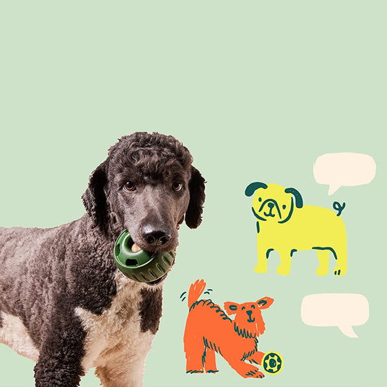 Ausstopfbares Slow-Food-Spielzeug für Hunde