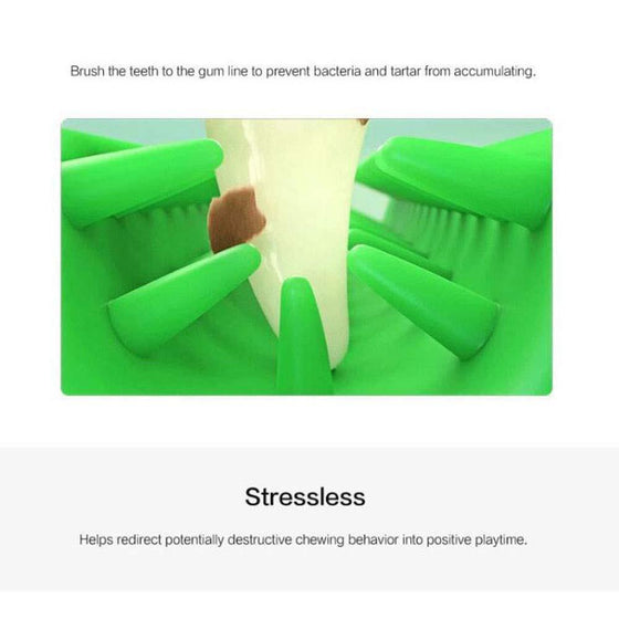 Zahnbürste für Hunde