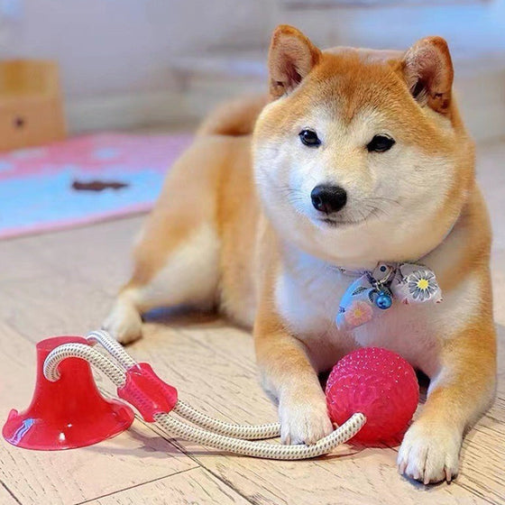 Multifunction Pet Molar Bite Toy