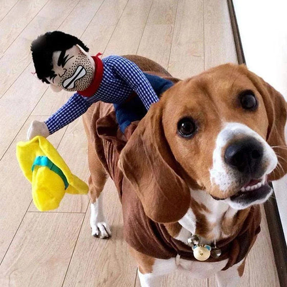 Hundekostüm - Cowboyreiter