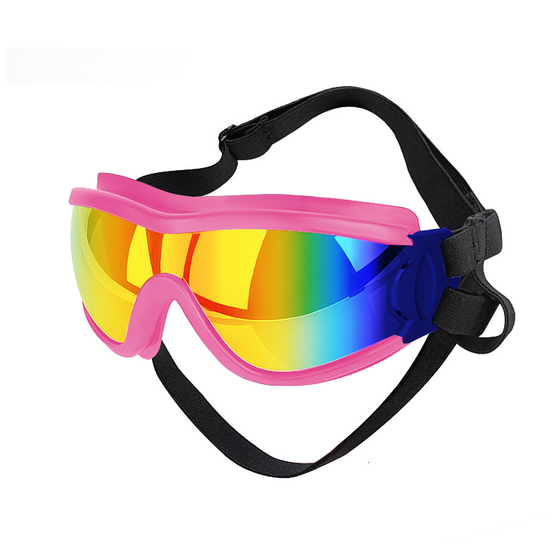 Outdoor-Hundebrille