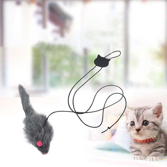 Hängendes Katzenspielzeug