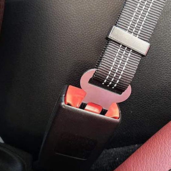 Sicherheitsgurt für Hunde