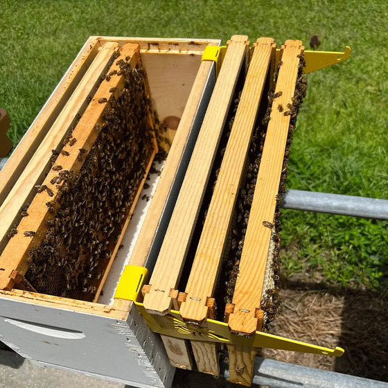 Praktische Bienenstock-Inspektionshalterung