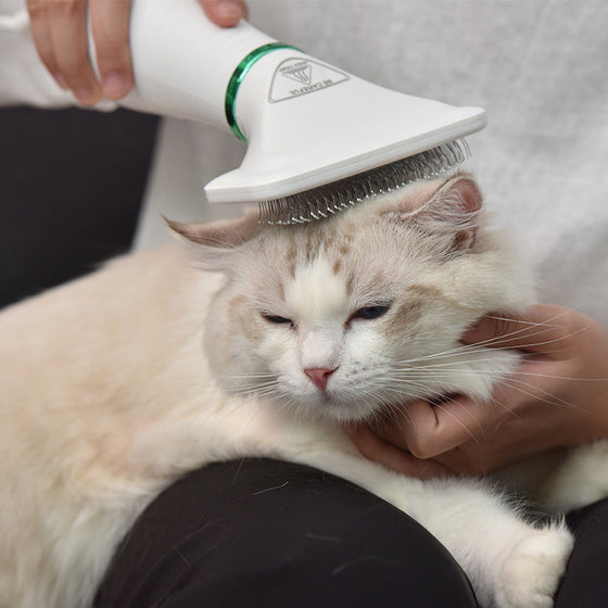 2-in-1-Hundetrockner