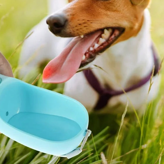 2-in-1 tragbarer Futterspender für Wasserflaschen