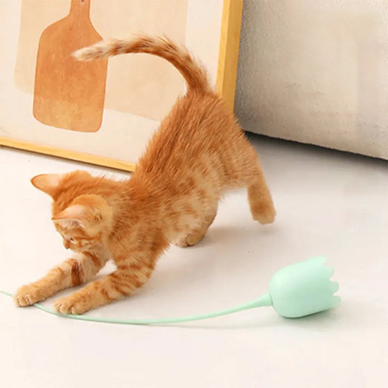 Katzenspielzeug für den Innenbereich