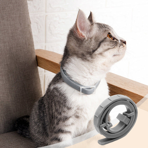 Entwurmungshalsband für Haustiere