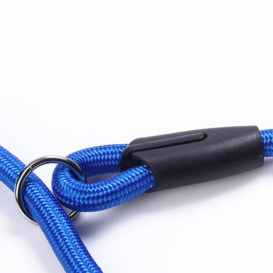 Freihändige Hundeleine