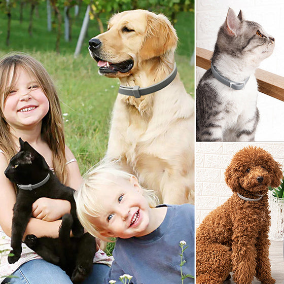 Entwurmungshalsband für Haustiere