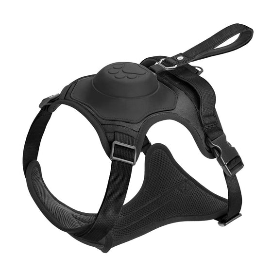 Geschirr mit integrierter Leine