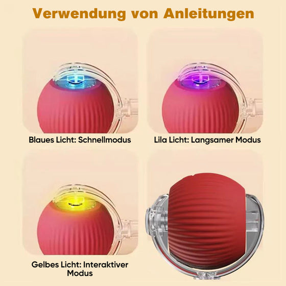 Intelligenter Interaktiver Katzenball