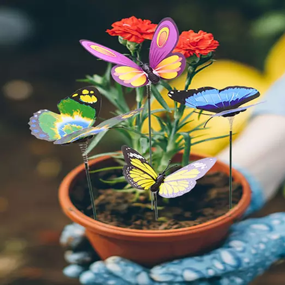 Dekorative Schmetterlinge