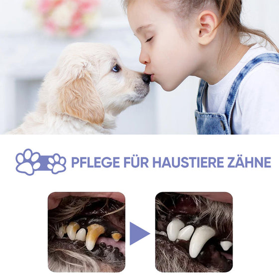 Hunde- und Katzenzahnreinigungsspray