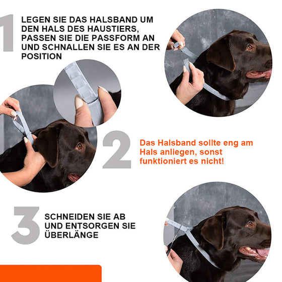 Entwurmungshalsband für Haustiere