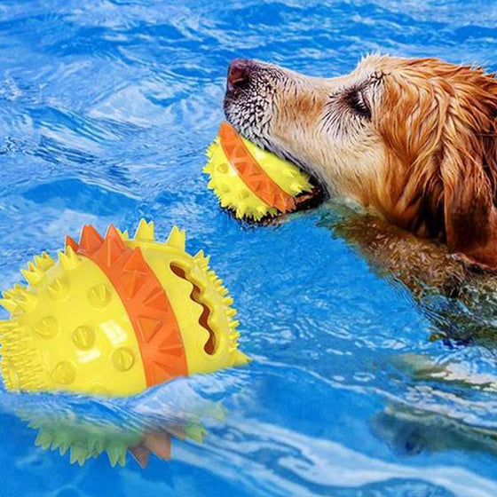 Seilball für Haustiere im Freien