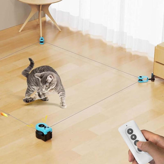 Interaktives Fitness-Katzenspielzeug