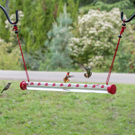 Blumenbar-Kolibri-Futterstation