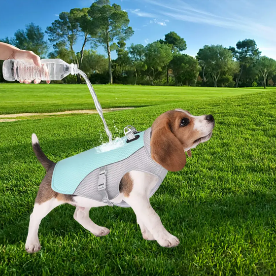 Sommer-Kühlweste für Haustiere