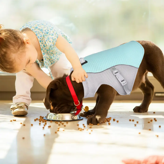 Sommer-Kühlweste für Haustiere