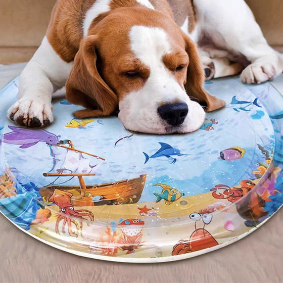Wassersensorische Spielmatte für Haustiere