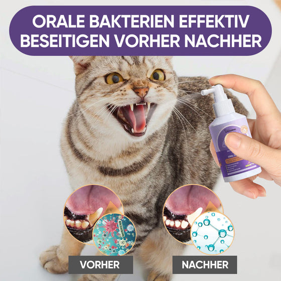 Hunde- und Katzenzahnreinigungsspray