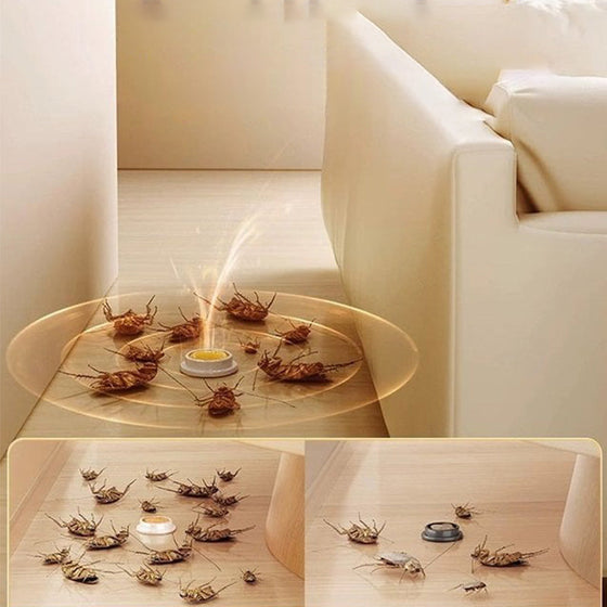 Haushalts-Kakerlaken-Köderpflaster