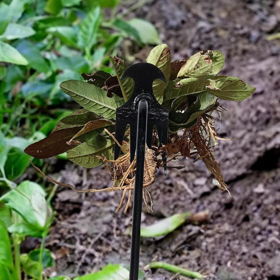 Garten Unkraut Ziehen Werkzeug