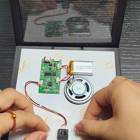 Musik-Kühlschrankmagnet mit einstellbarer Lautstärke