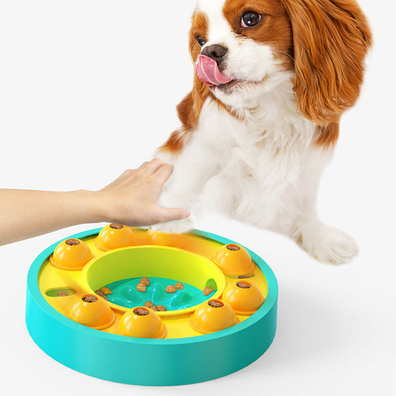Intelligentes Hundefütterungs-Trainingsspielzeug
