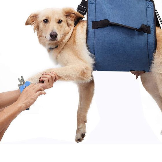 Verstellbares Stütz- und Reha-Geschirr für Haustiere