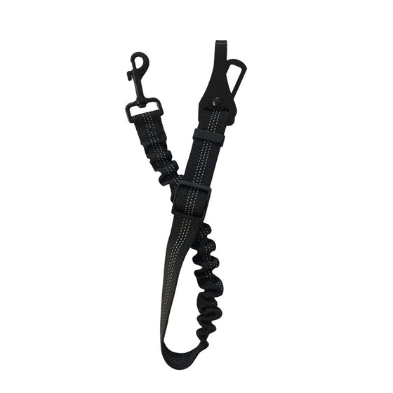 Sicherheitsgurt für Hunde