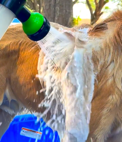 Multifunktionale Schaumwaschpistole