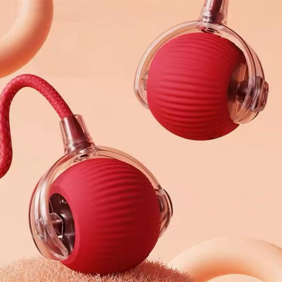 Intelligenter Interaktiver Katzenball