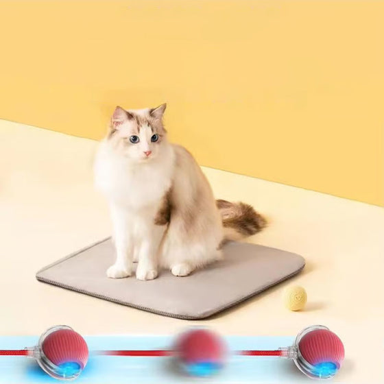 Intelligenter Interaktiver Katzenball