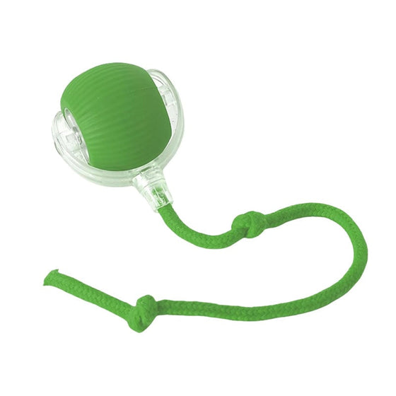 Intelligenter Interaktiver Katzenball